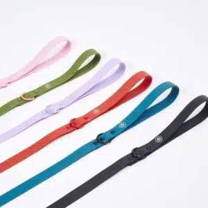 French Bulldog leash