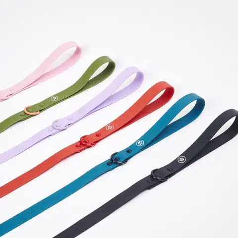 French Bulldog leash