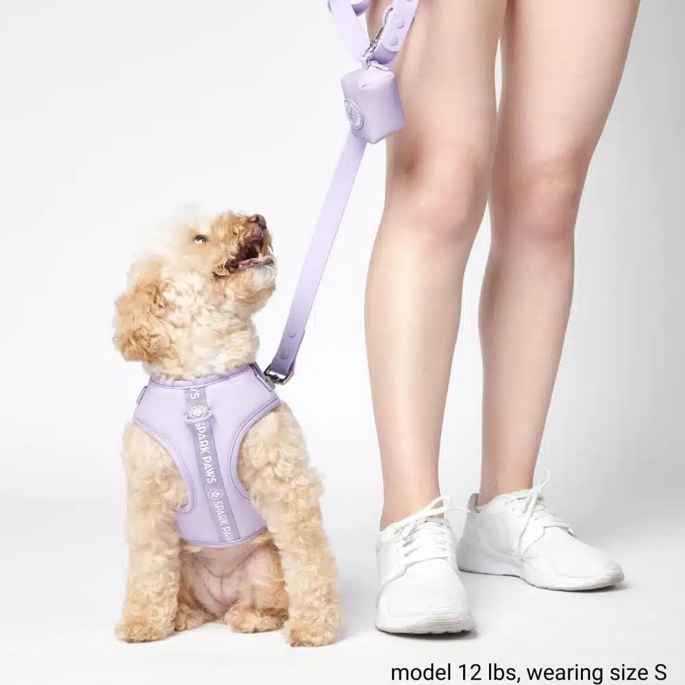 French bulldog leash for sale