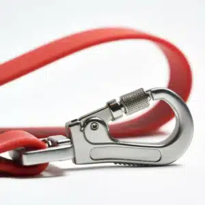 French Bulldog puppy leash