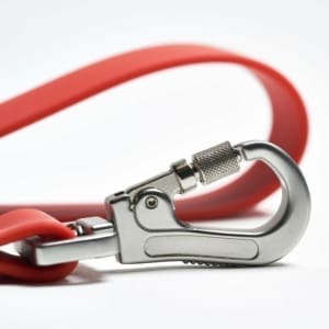 French Bulldog puppy leash