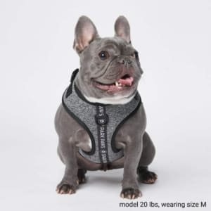 Frenchie Harness