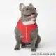 Frenchie harness cheap