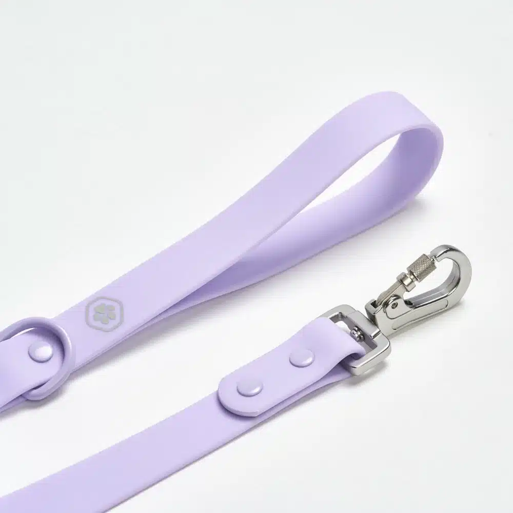 Frenchie Leash