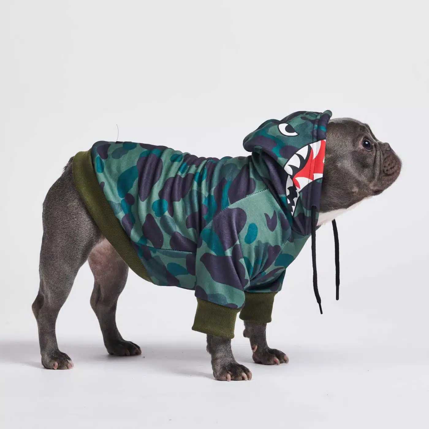 French Bulldog clothing
