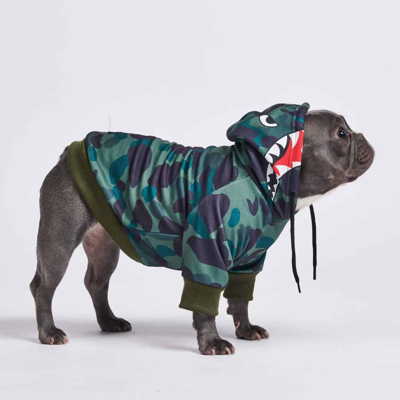 French Bulldog clothing