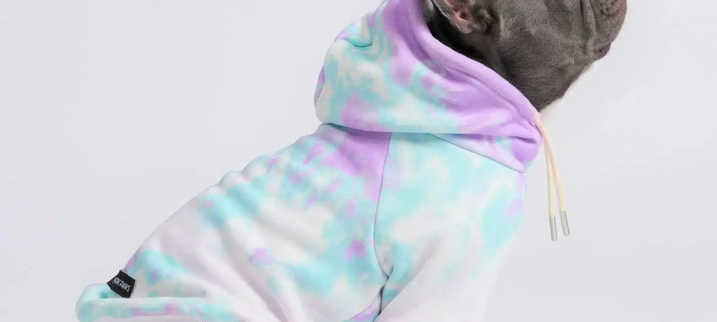 french bulldog clothes French bulldog clothes