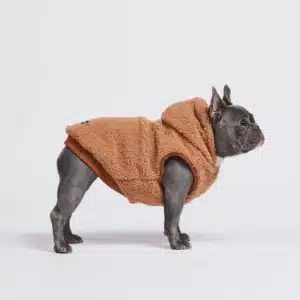 French bulldog clothing