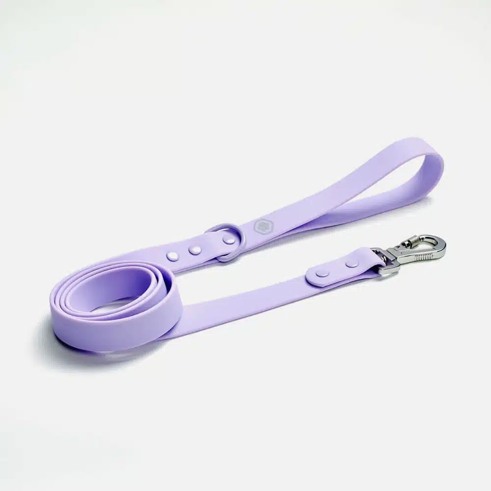 French Bulldog leash