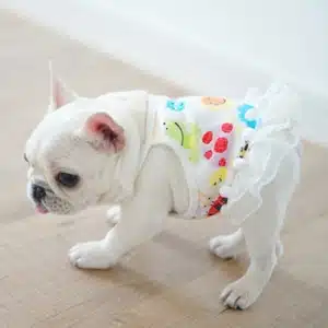 frenchie clothes