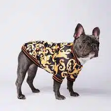 Frenchie Clothes