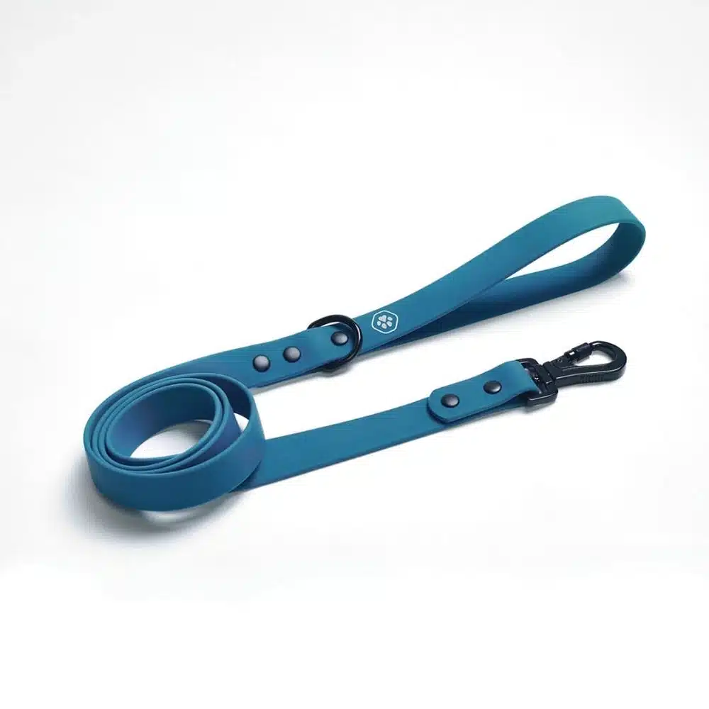 Puppy Leash
