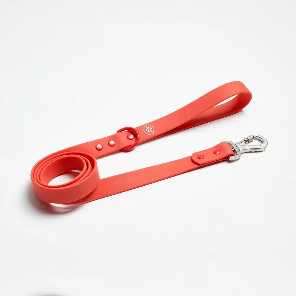 Red Frenchie Leash for sale