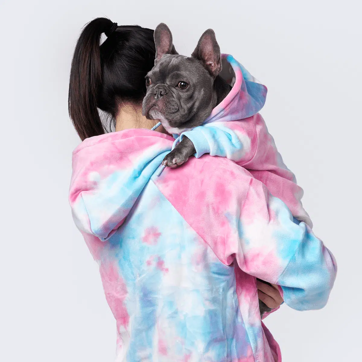 frenchie clothes