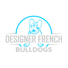 Designer French Bulldogs