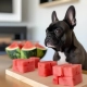 Can Frenchies eat watermelon?